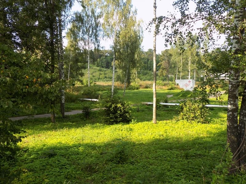 Парк, расположенный в границах улиц Грацинского, Октябрьская, Красноармейская набережная до начала работ по благоустройству